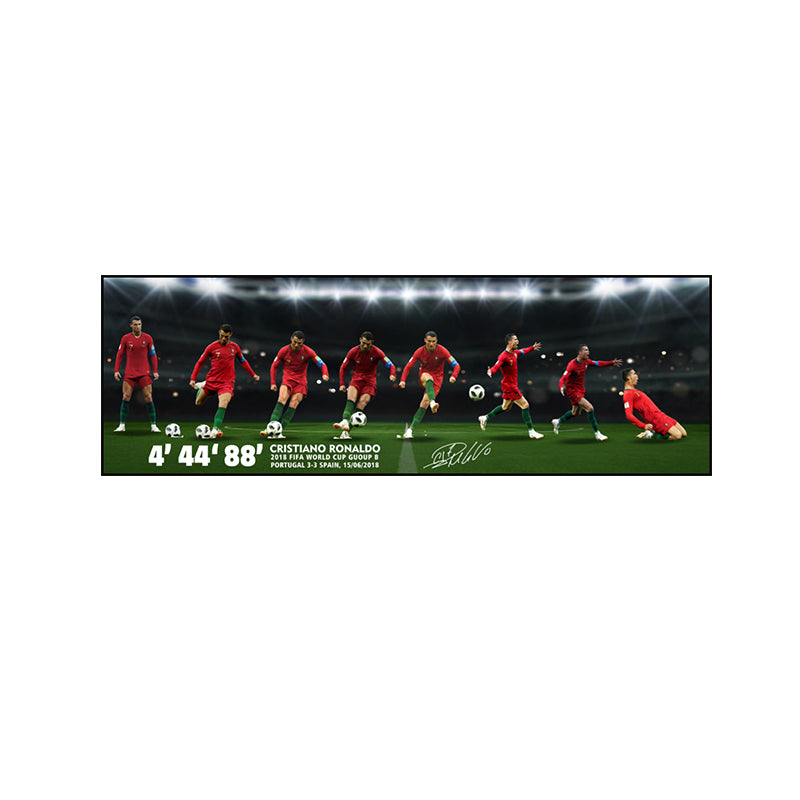 Football star Ronaldo Portugal decoration painting