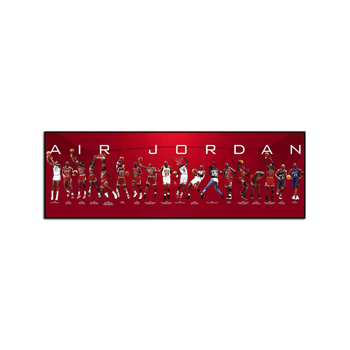 Michael Jordan Horizontal 3:1 WallArt